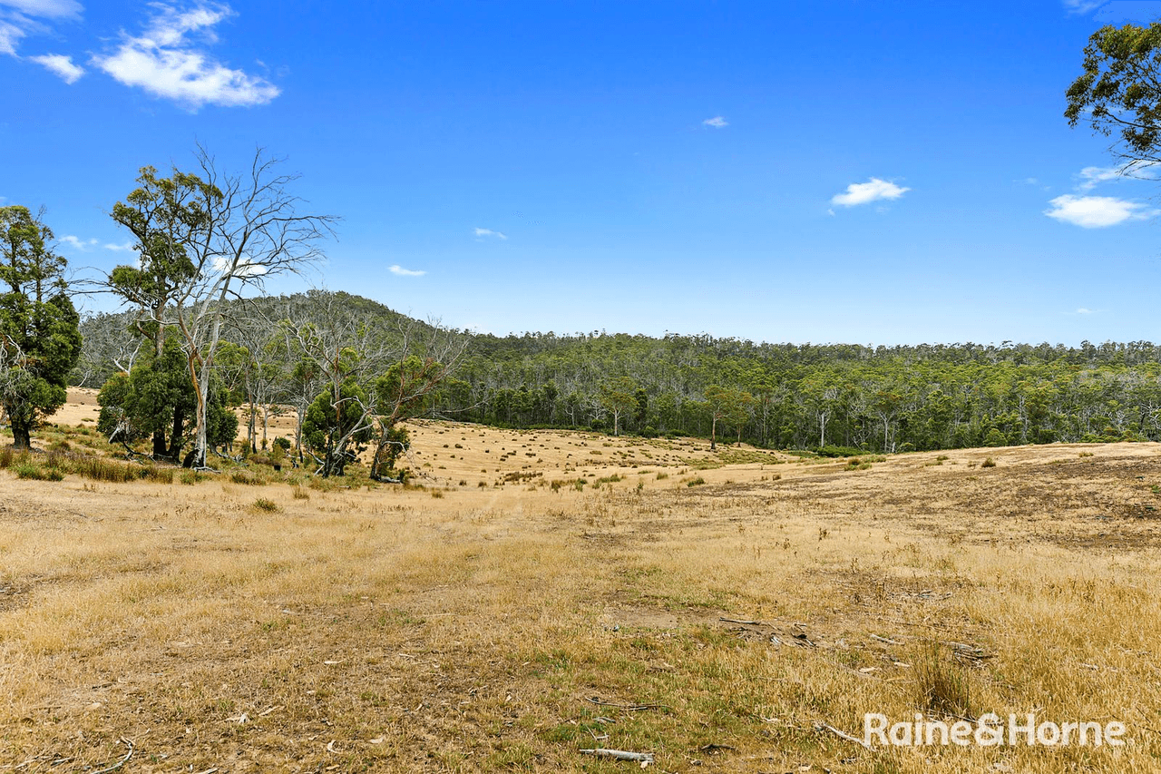 Lot 1 Arthur Highway, COPPING, TAS 7174