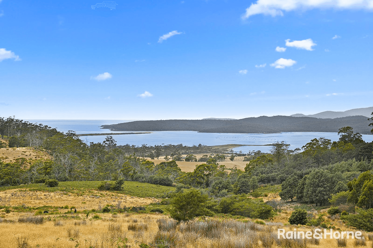 Lot 1 Arthur Highway, COPPING, TAS 7174