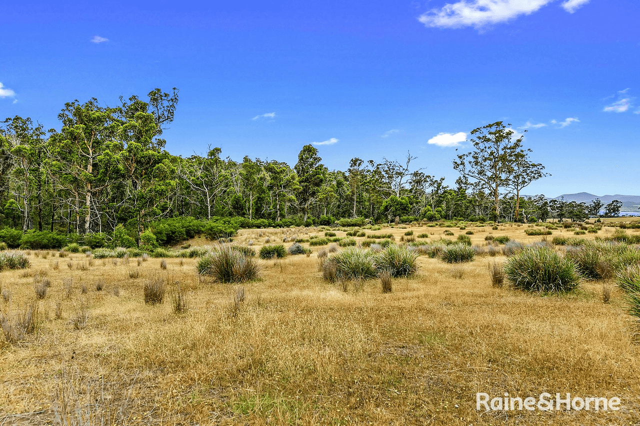 Lot 1 Arthur Highway, COPPING, TAS 7174