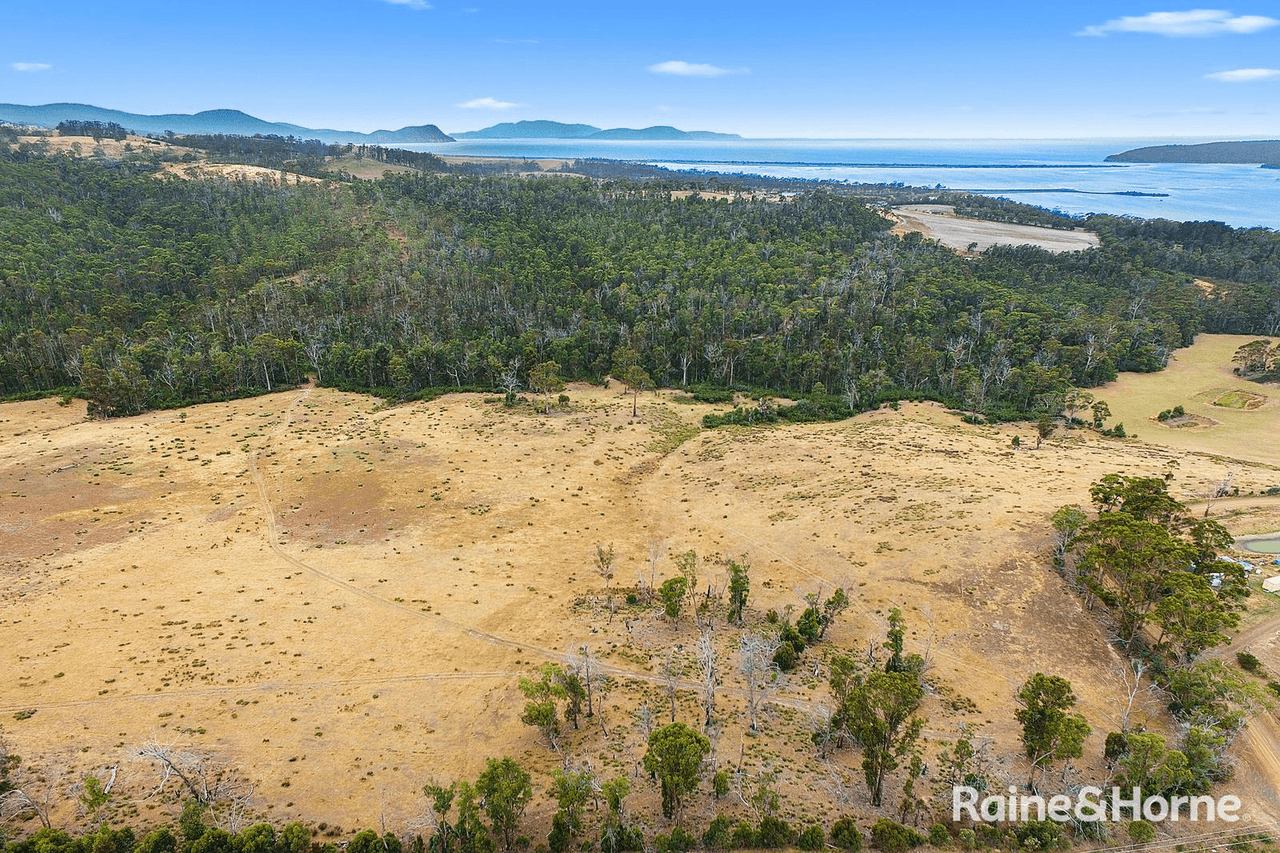 Lot 1 Arthur Highway, COPPING, TAS 7174