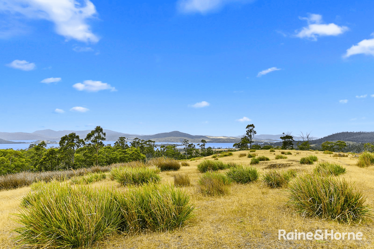 Lot 1 Arthur Highway, COPPING, TAS 7174