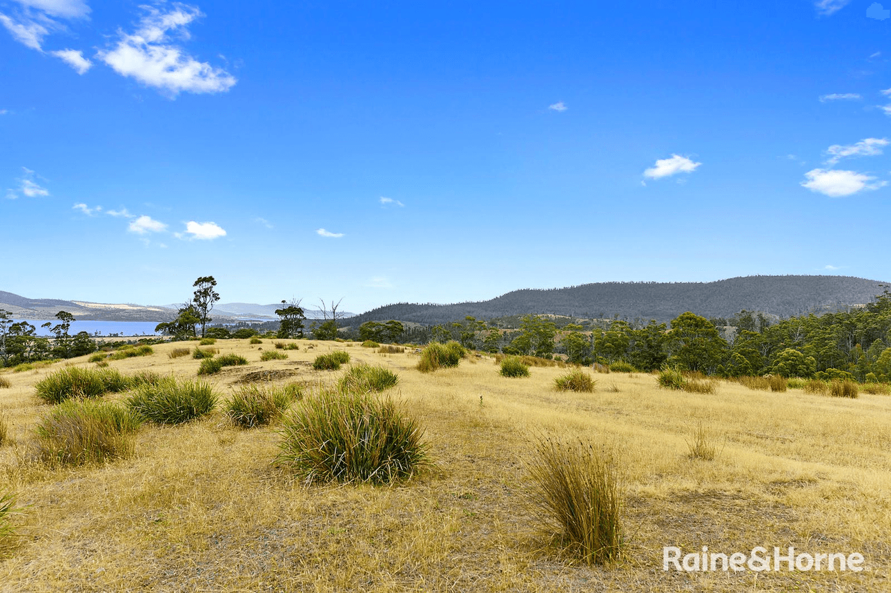 Lot 1 Arthur Highway, COPPING, TAS 7174