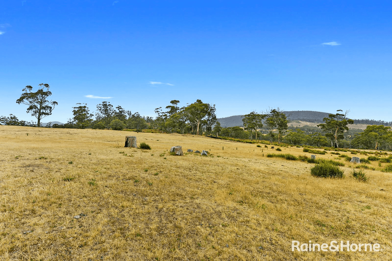 Lot 1 Arthur Highway, COPPING, TAS 7174