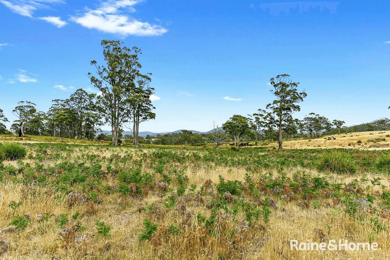 Lot 1 Arthur Highway, COPPING, TAS 7174