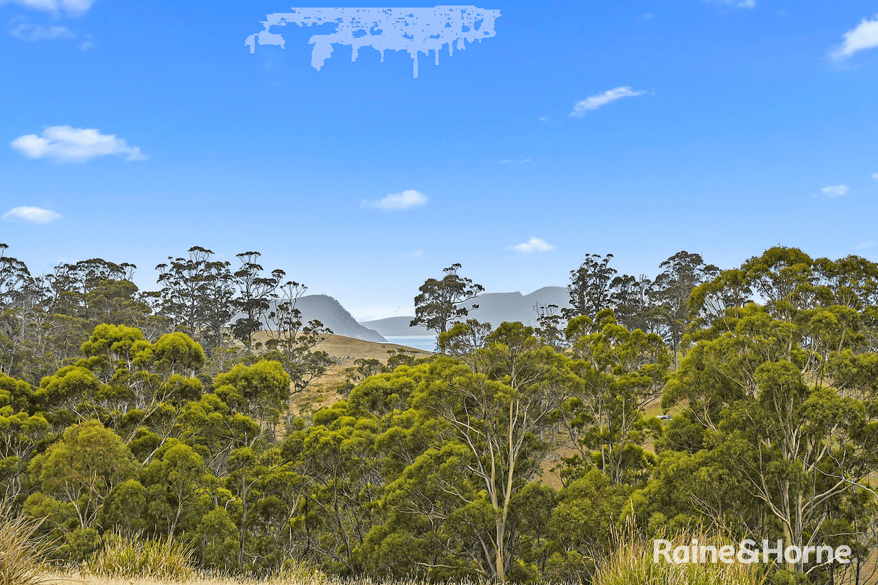 Lot 1 Arthur Highway, COPPING, TAS 7174