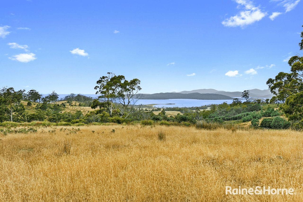 Lot 1 Arthur Highway, COPPING, TAS 7174