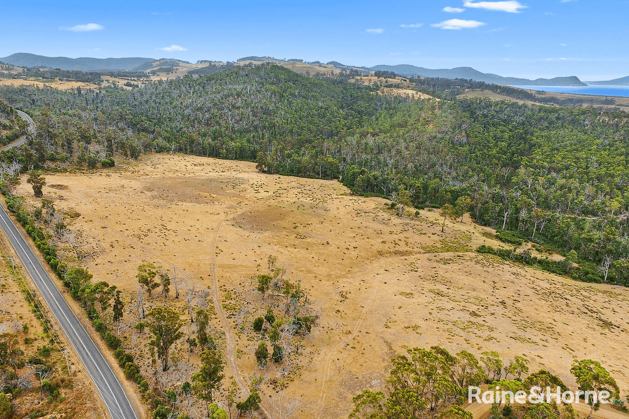 Lot 1 Arthur Highway, COPPING, TAS 7174