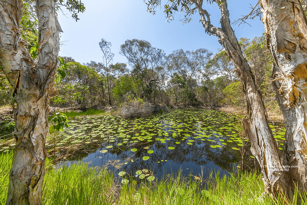 85 Wilson, AGNES WATER, QLD 4677