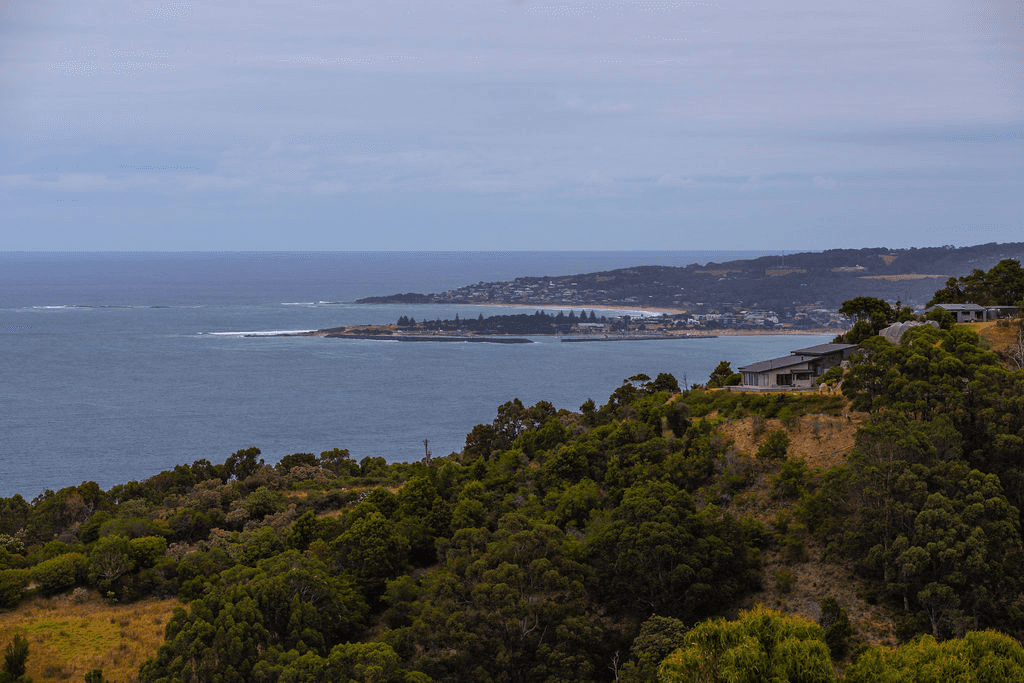 17/270 Skenes Creek Road, SKENES CREEK, VIC 3233