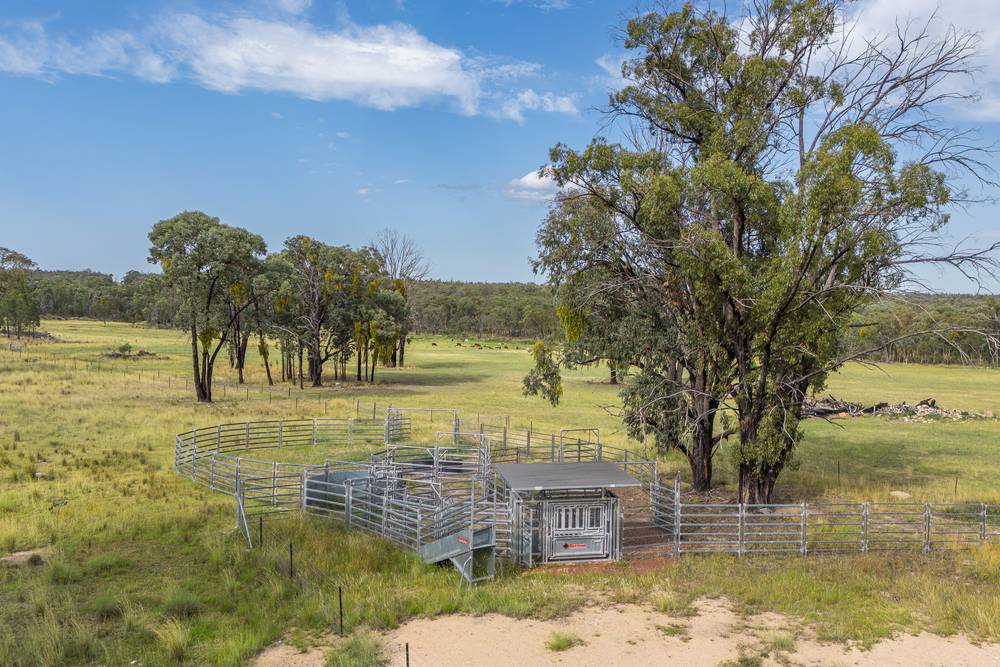 739 Stannifer Road, STANNIFER, NSW 2369