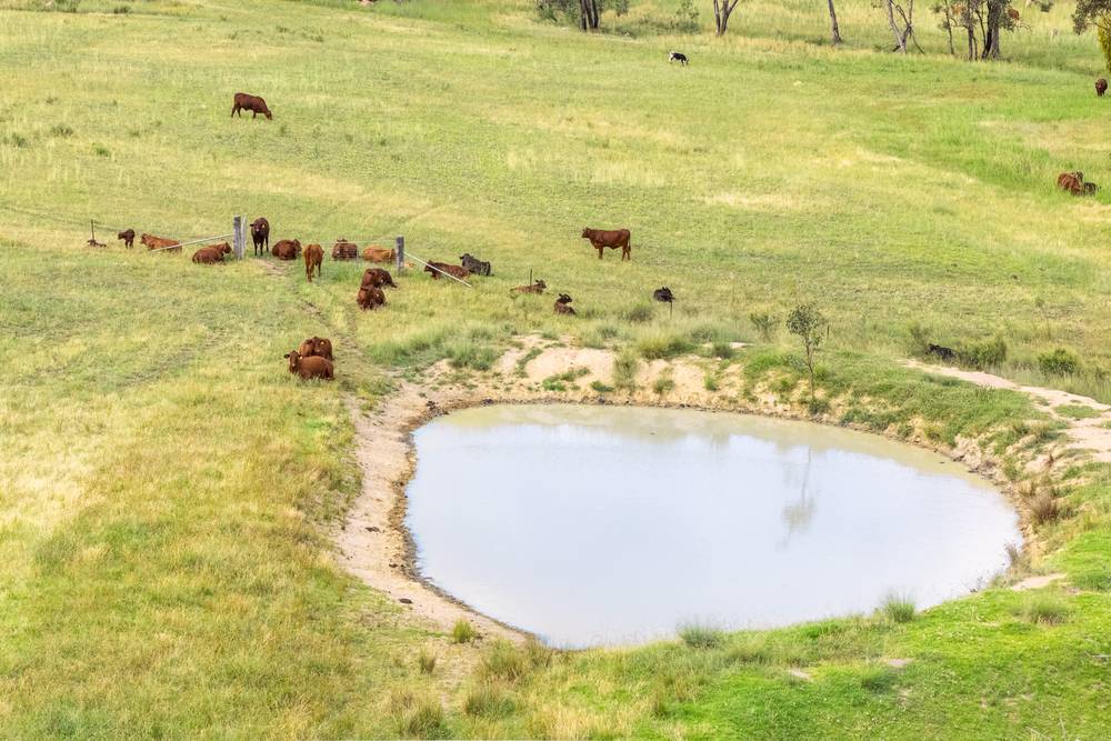 739 Stannifer Road, STANNIFER, NSW 2369