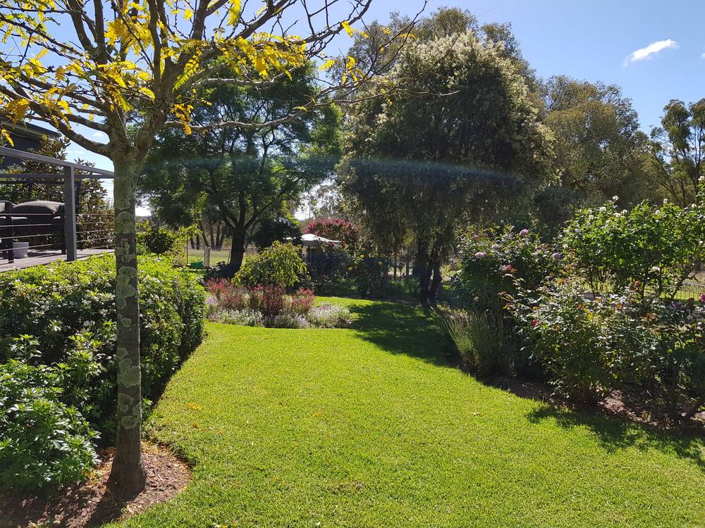 739 Stannifer Road, STANNIFER, NSW 2369