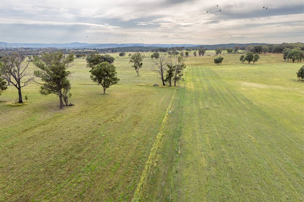 739 Stannifer Road, STANNIFER, NSW 2369