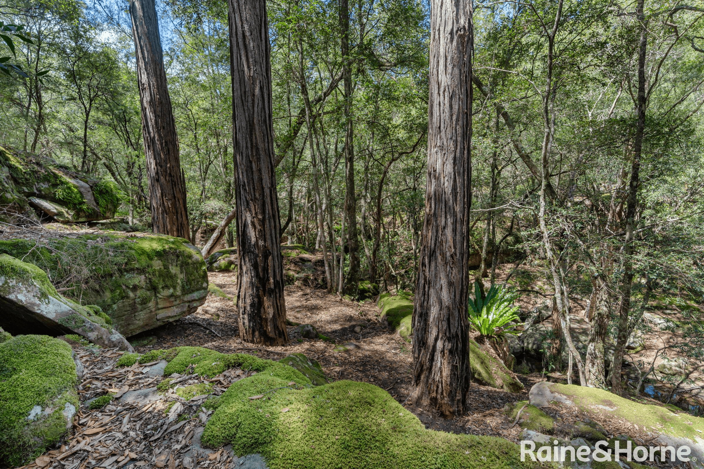 407D Bendeela Road, KANGAROO VALLEY, NSW 2577