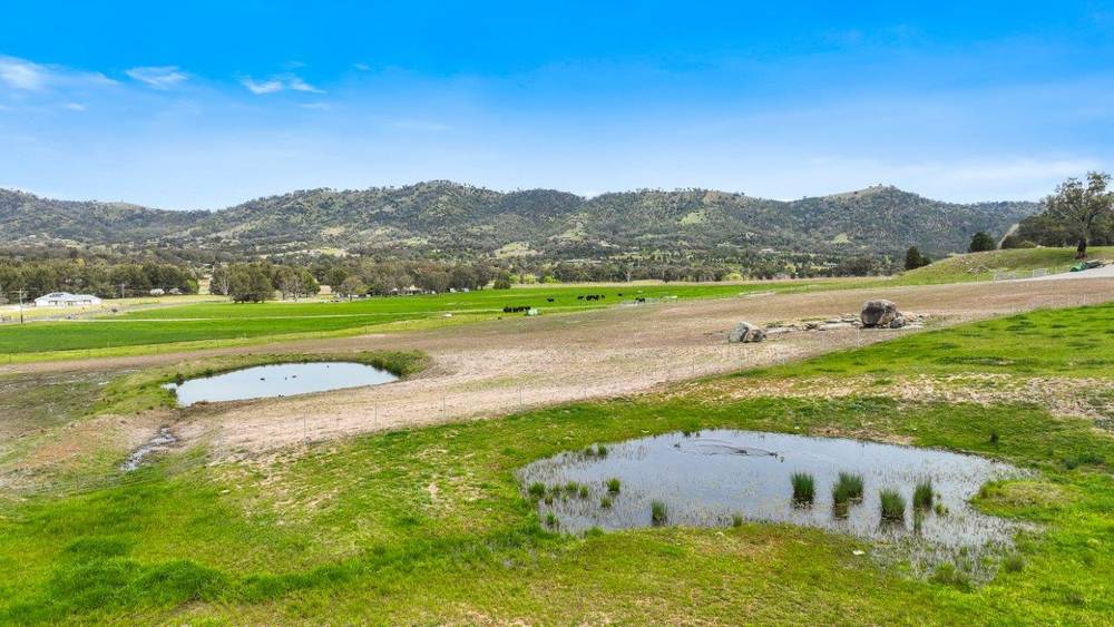 1519 Upper Moore Creek Road, TAMWORTH, NSW 2340