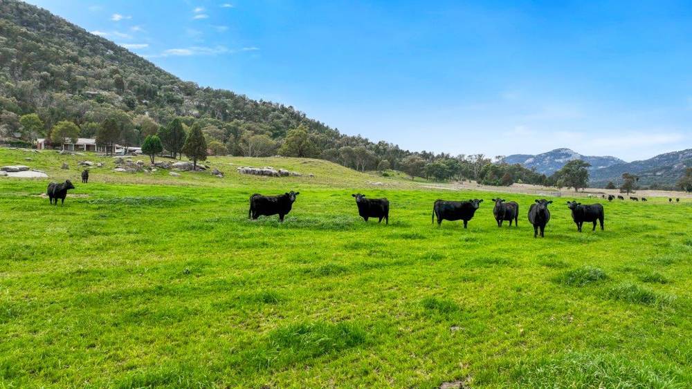 1519 Upper Moore Creek Road, TAMWORTH, NSW 2340