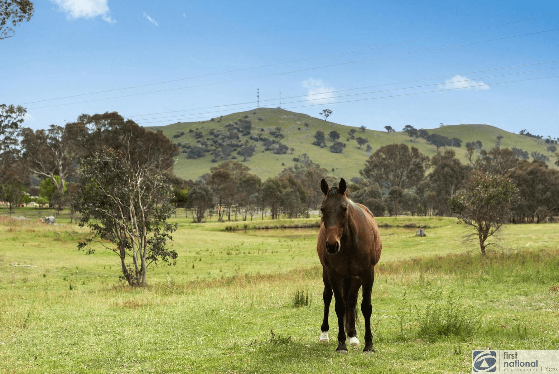 6 Stringybark Place, Manton, NSW 2582