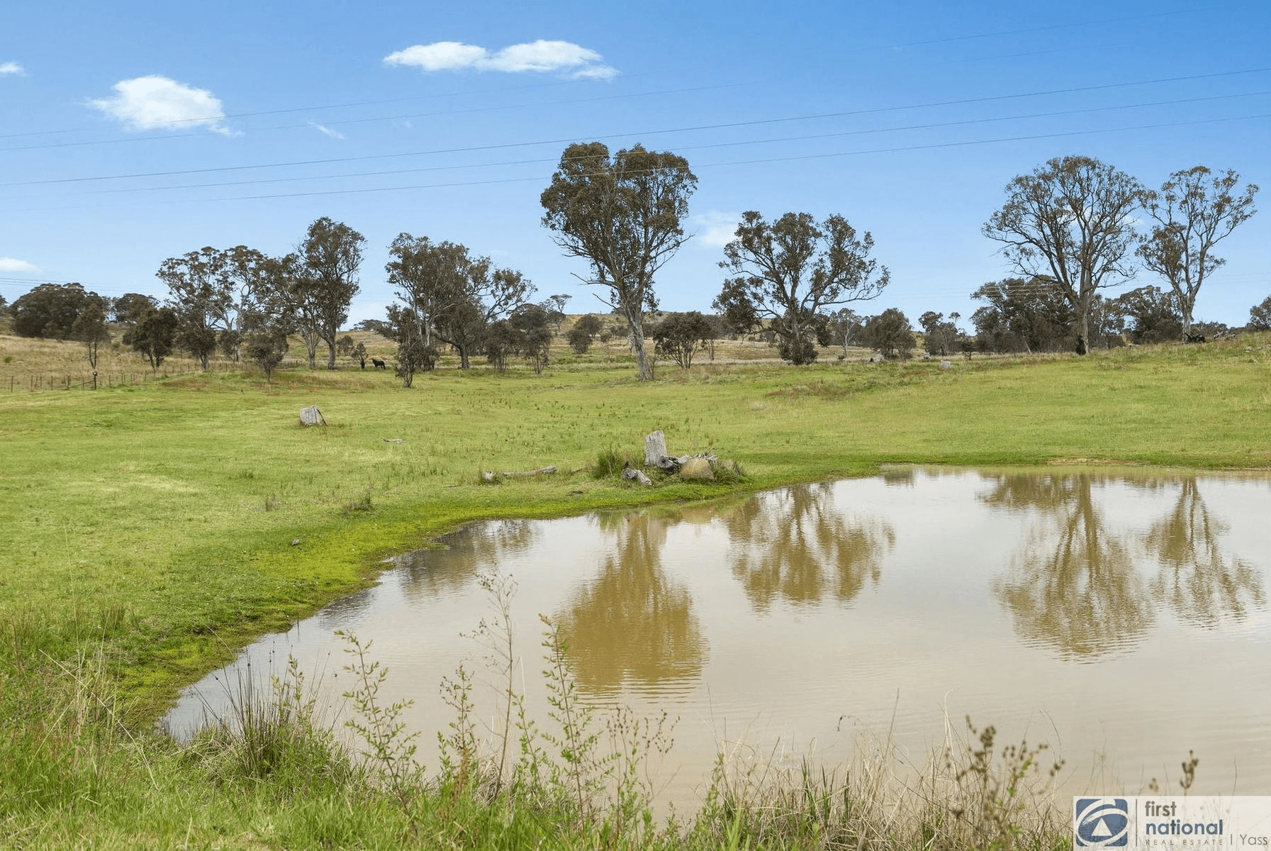 6 Stringybark Place, Manton, NSW 2582