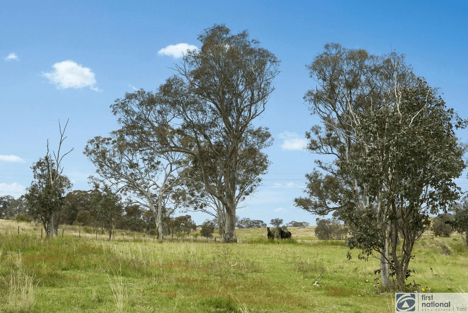6 Stringybark Place, Manton, NSW 2582