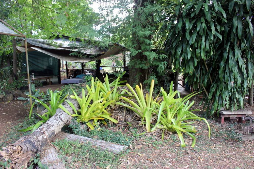 2125-2159 Endeavour Valley Rd, Cooktown, QLD 4895