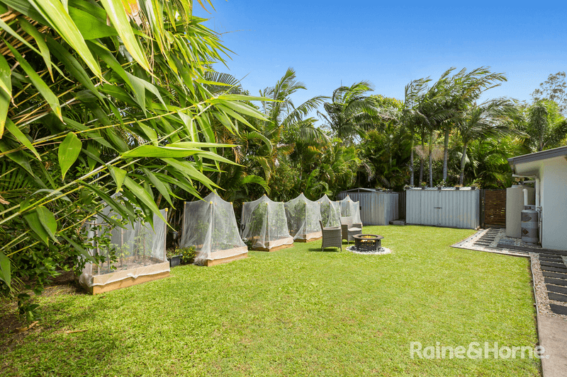 16 Sugar Glider Drive, POTTSVILLE, NSW 2489