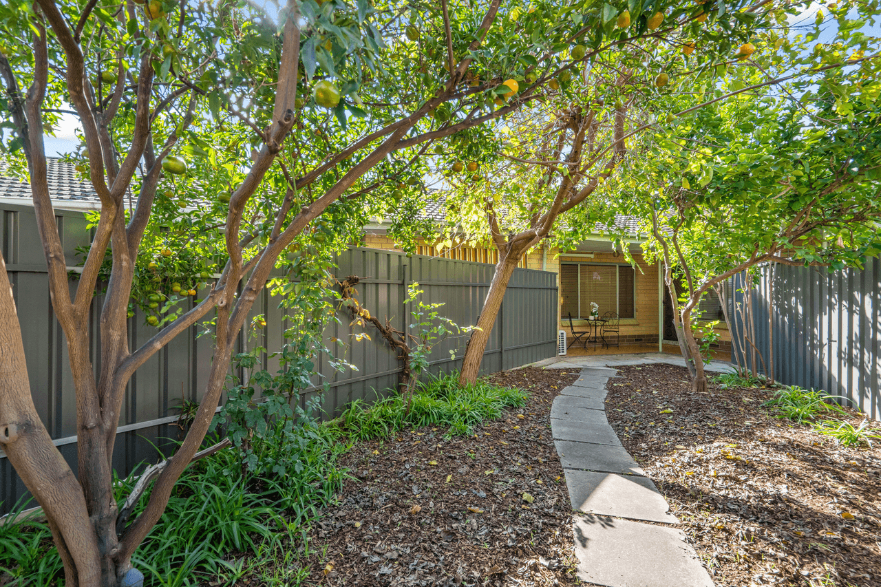 5/62-64 Marden Road, MARDEN, SA 5070