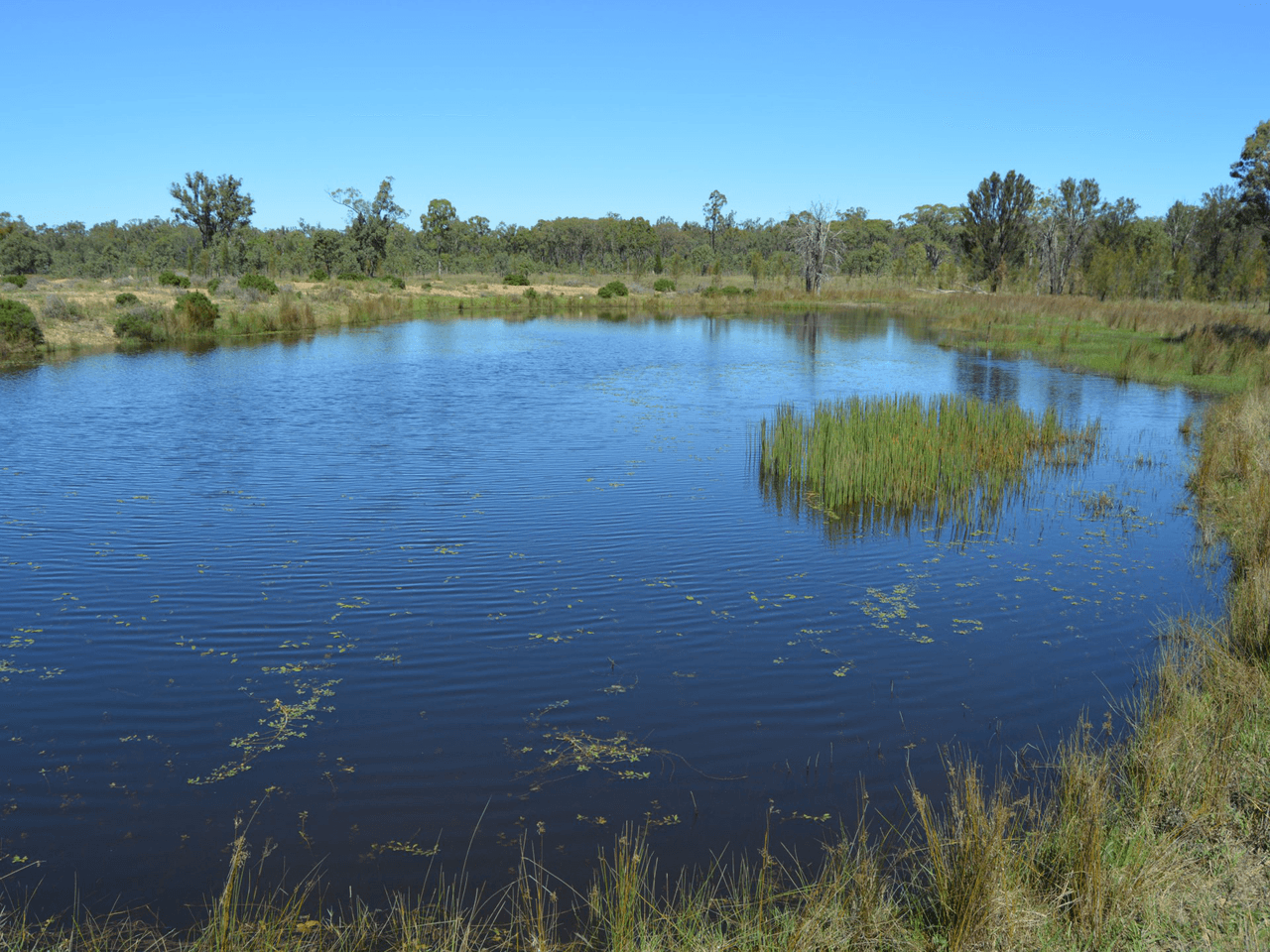 85 Fogartys Crossing Road, LEYBURN, QLD 4365