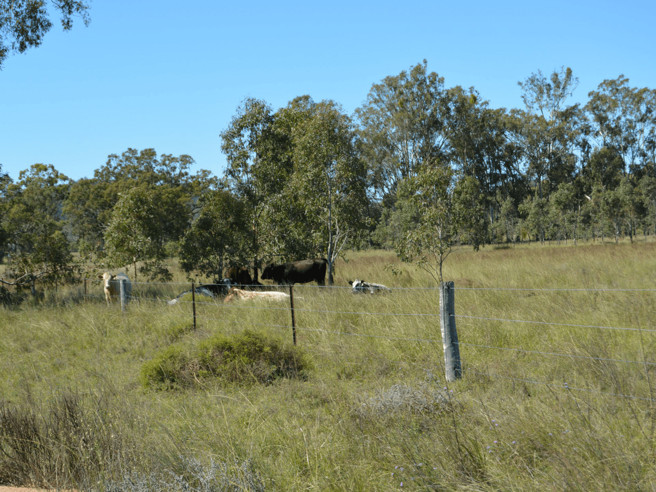 85 Fogartys Crossing Road, LEYBURN, QLD 4365