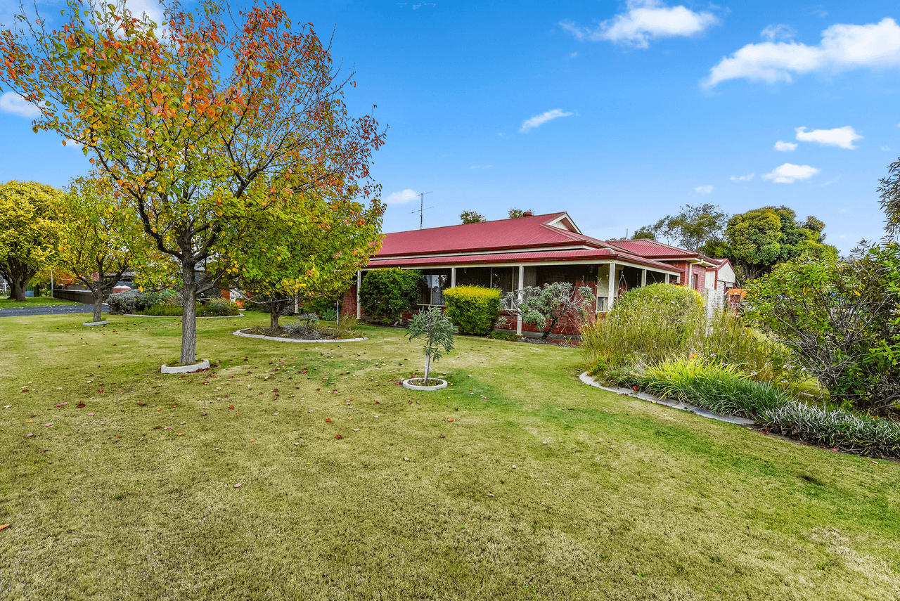 209 South Avenue, BORDERTOWN, SA 5268