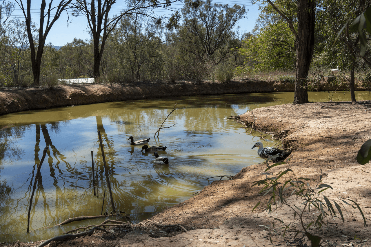 17 Koreelah Street, UPPER LOCKYER, QLD 4352