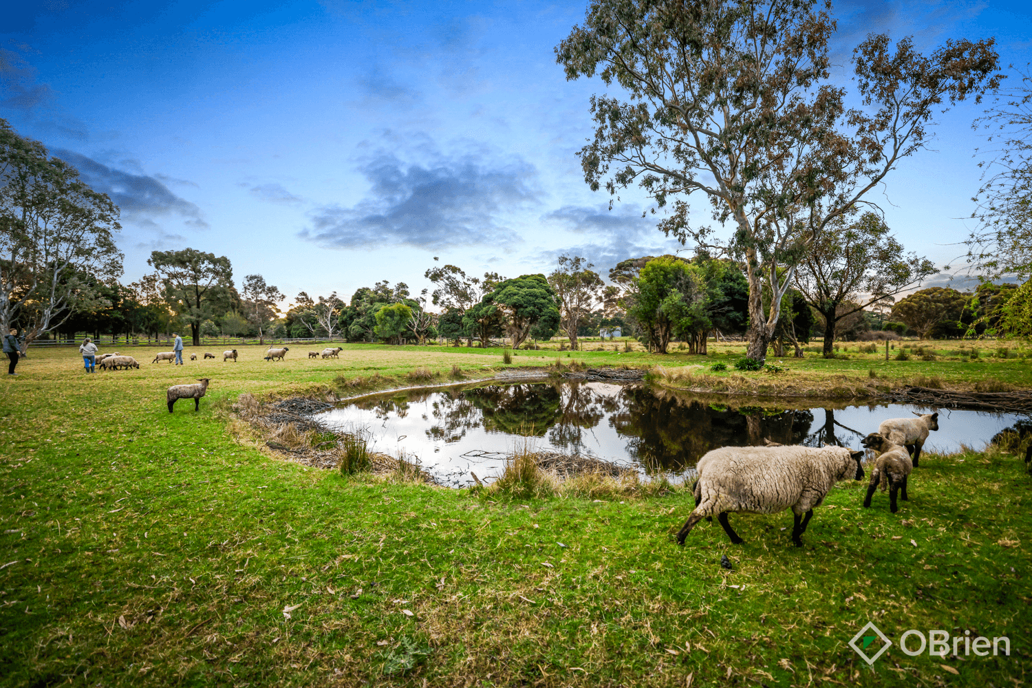 64 Keys Road, Keysborough, VIC 3173