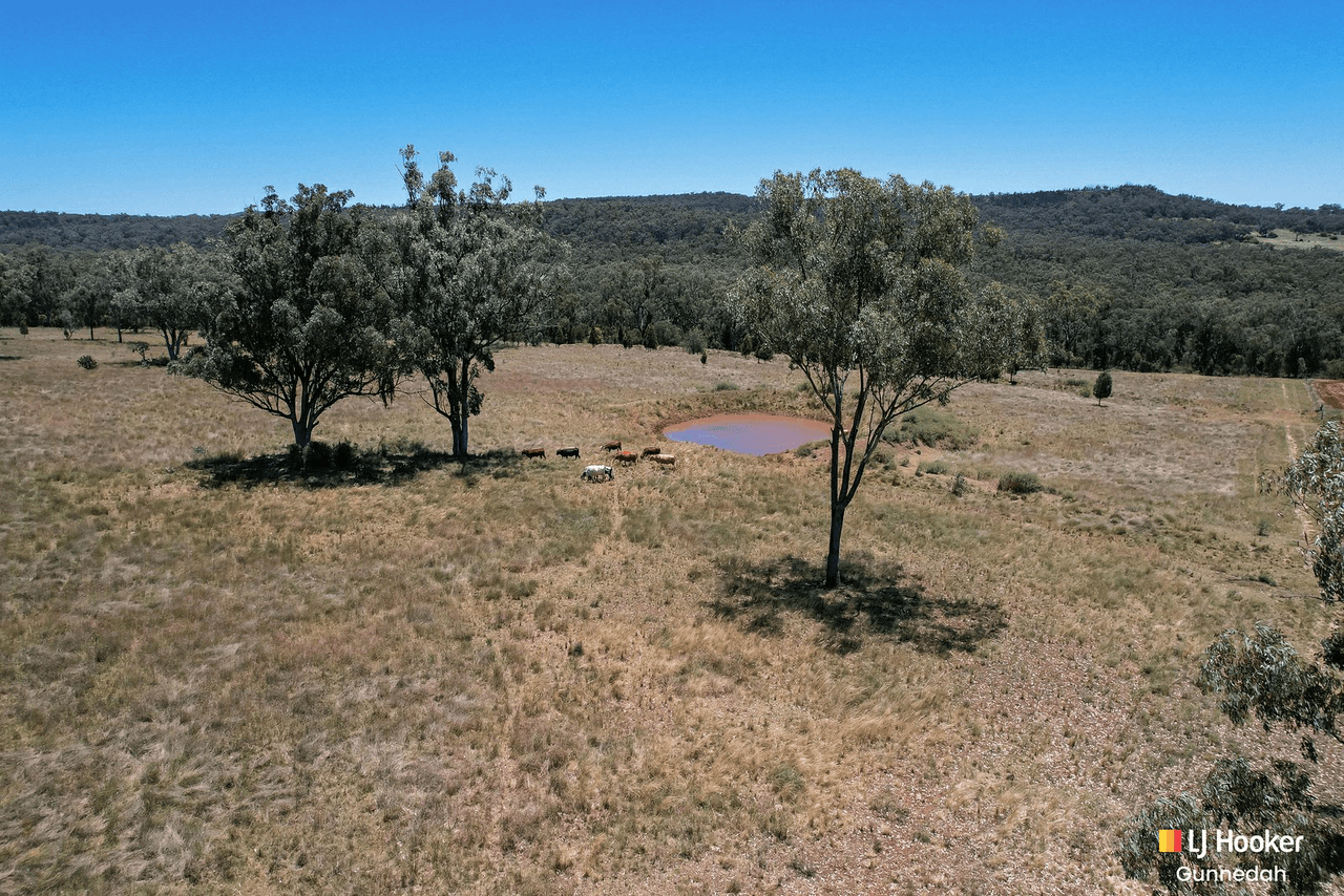 1439 Wandobah Road, GUNNEDAH, NSW 2380