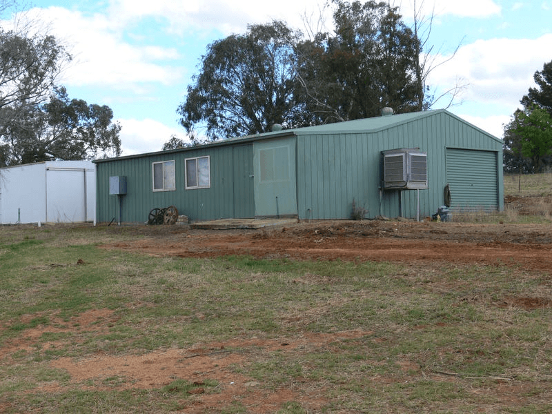 702 Gerrybang Road, GREENETHORPE, NSW 2809