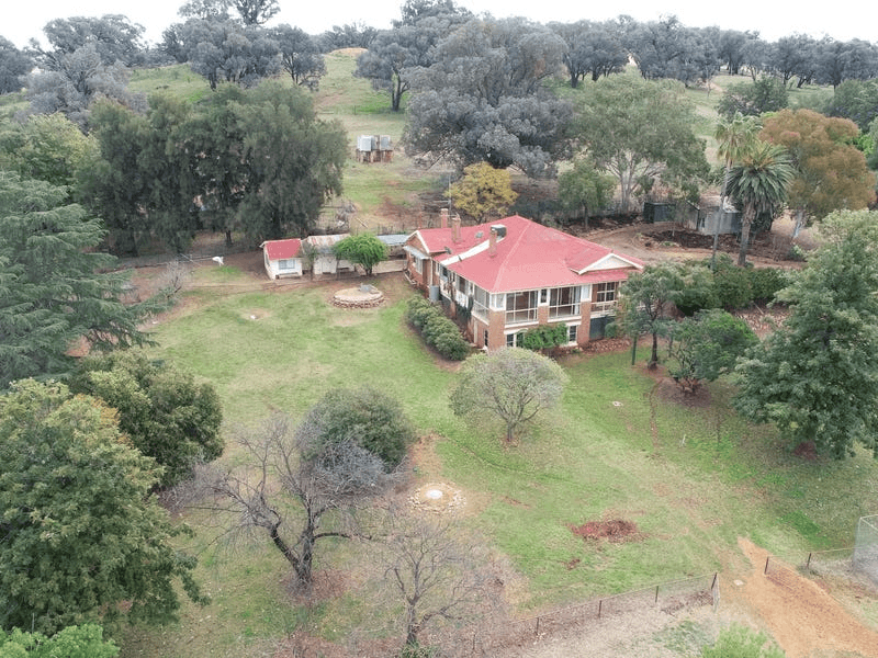 702 Gerrybang Road, GREENETHORPE, NSW 2809