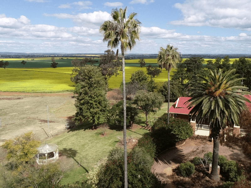 702 Gerrybang Road, GREENETHORPE, NSW 2809