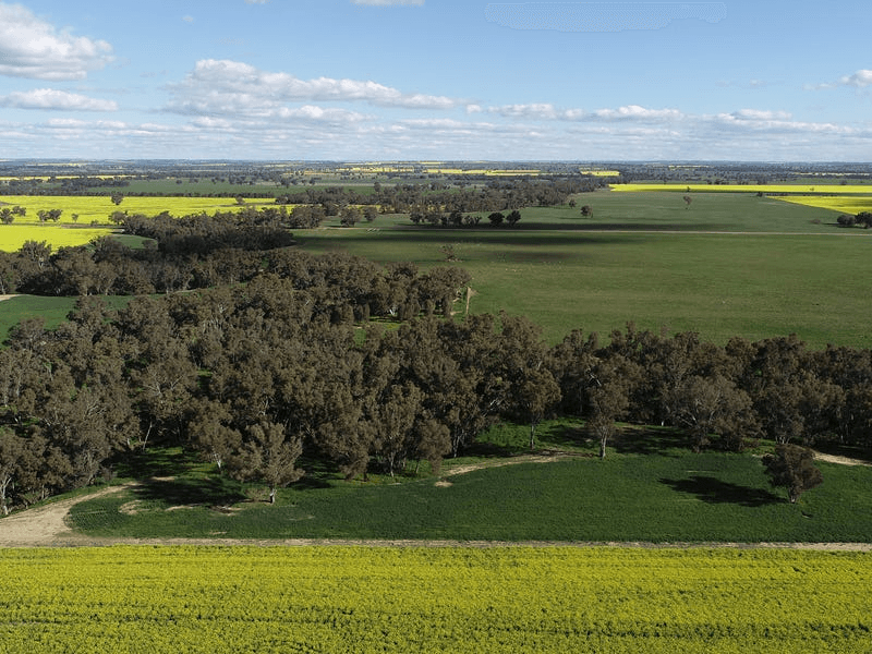 702 Gerrybang Road, GREENETHORPE, NSW 2809