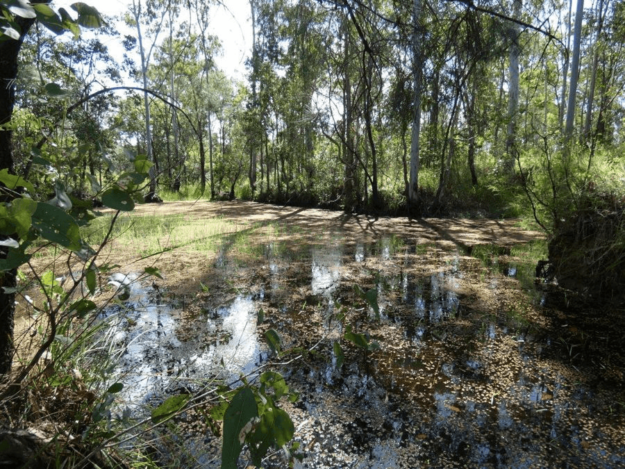 3583  Lowmead Road, LOWMEAD, QLD 4676