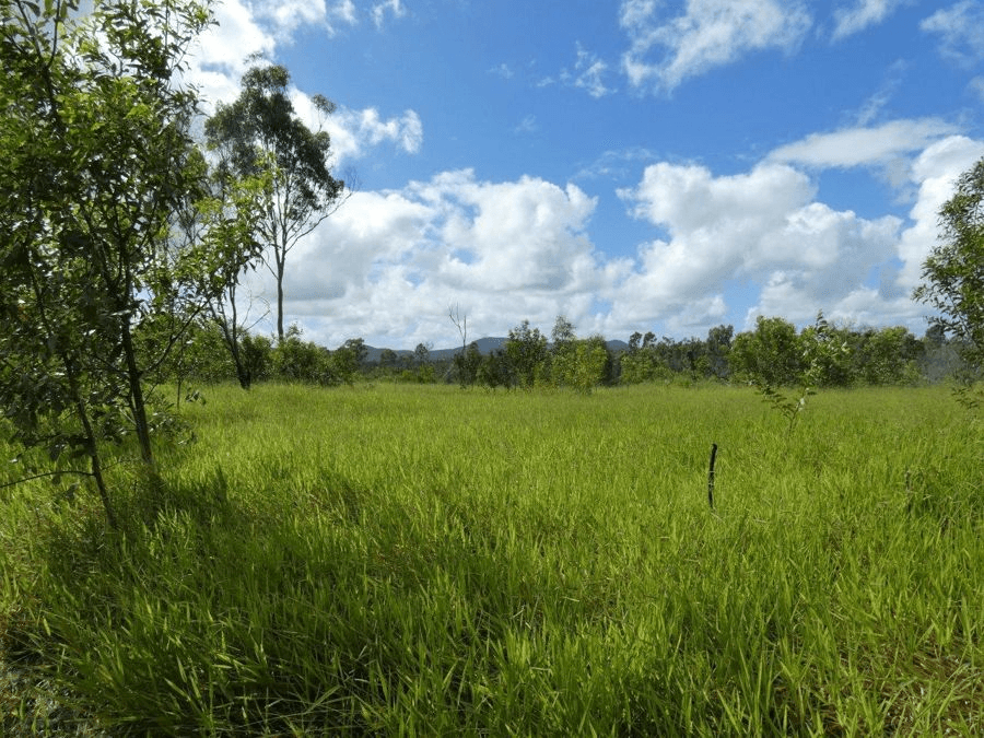 3583  Lowmead Road, LOWMEAD, QLD 4676