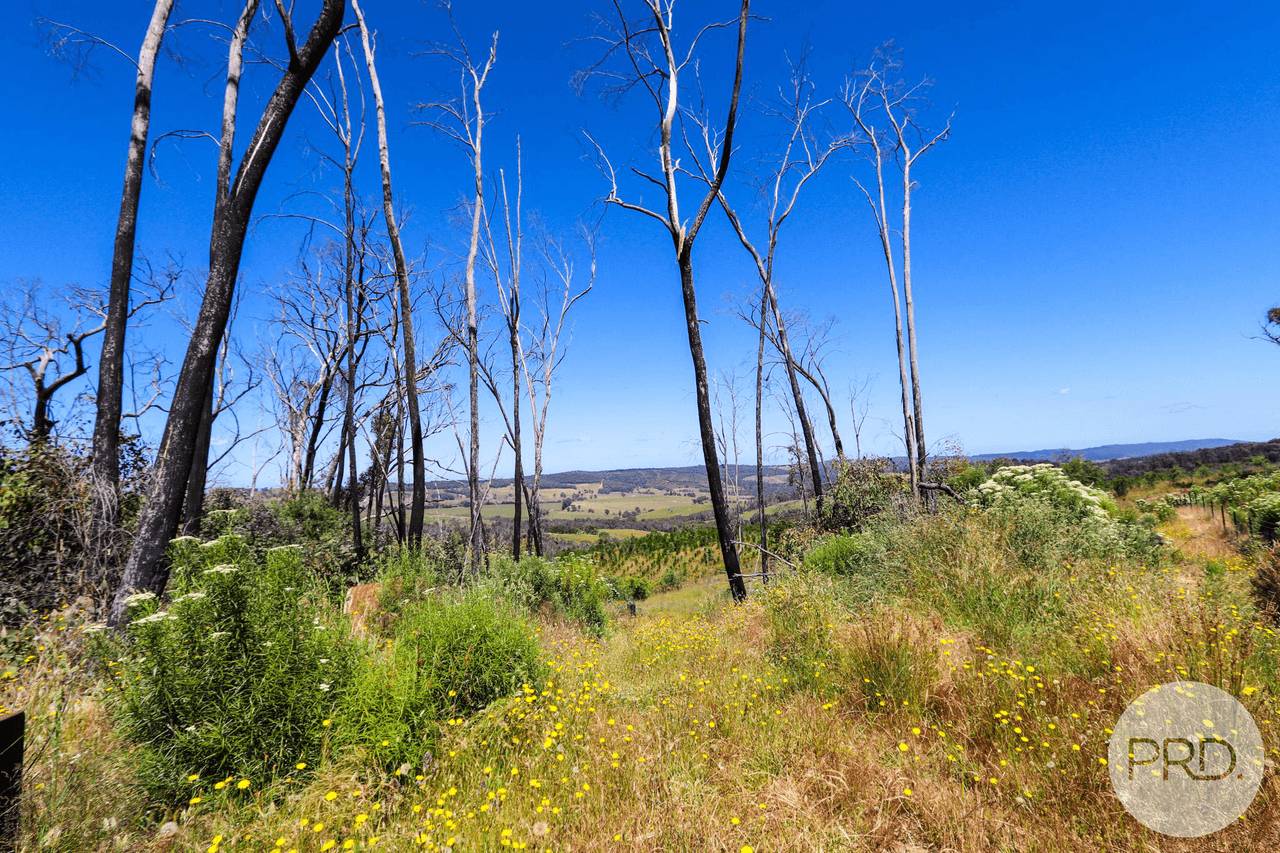 128 Blueberry Farm Road (off Taradale Rd), TUMBARUMBA, NSW 2653