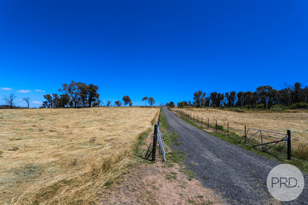 128 Blueberry Farm Road (off Taradale Rd), TUMBARUMBA, NSW 2653