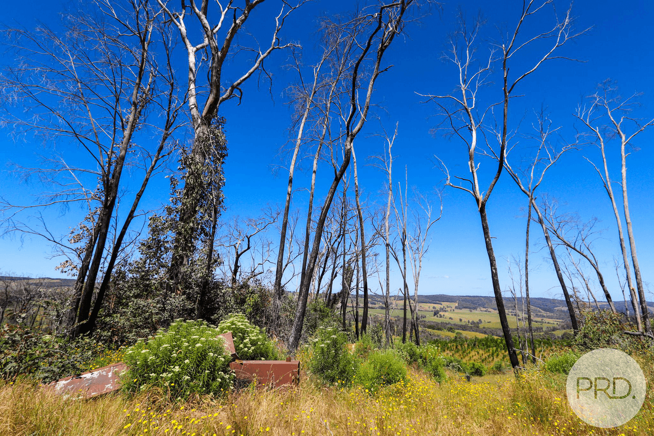 128 Blueberry Farm Road (off Taradale Rd), TUMBARUMBA, NSW 2653