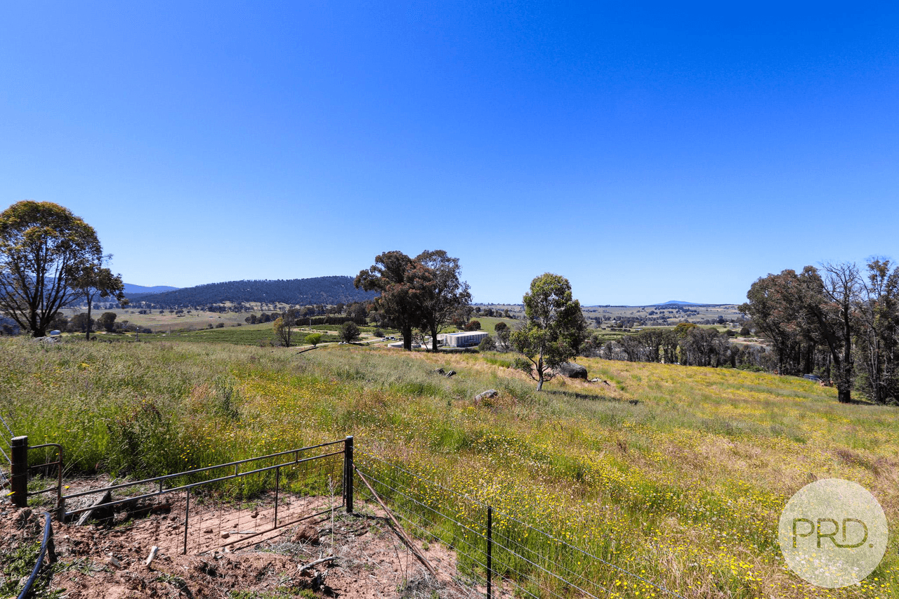 128 Blueberry Farm Road (off Taradale Rd), TUMBARUMBA, NSW 2653