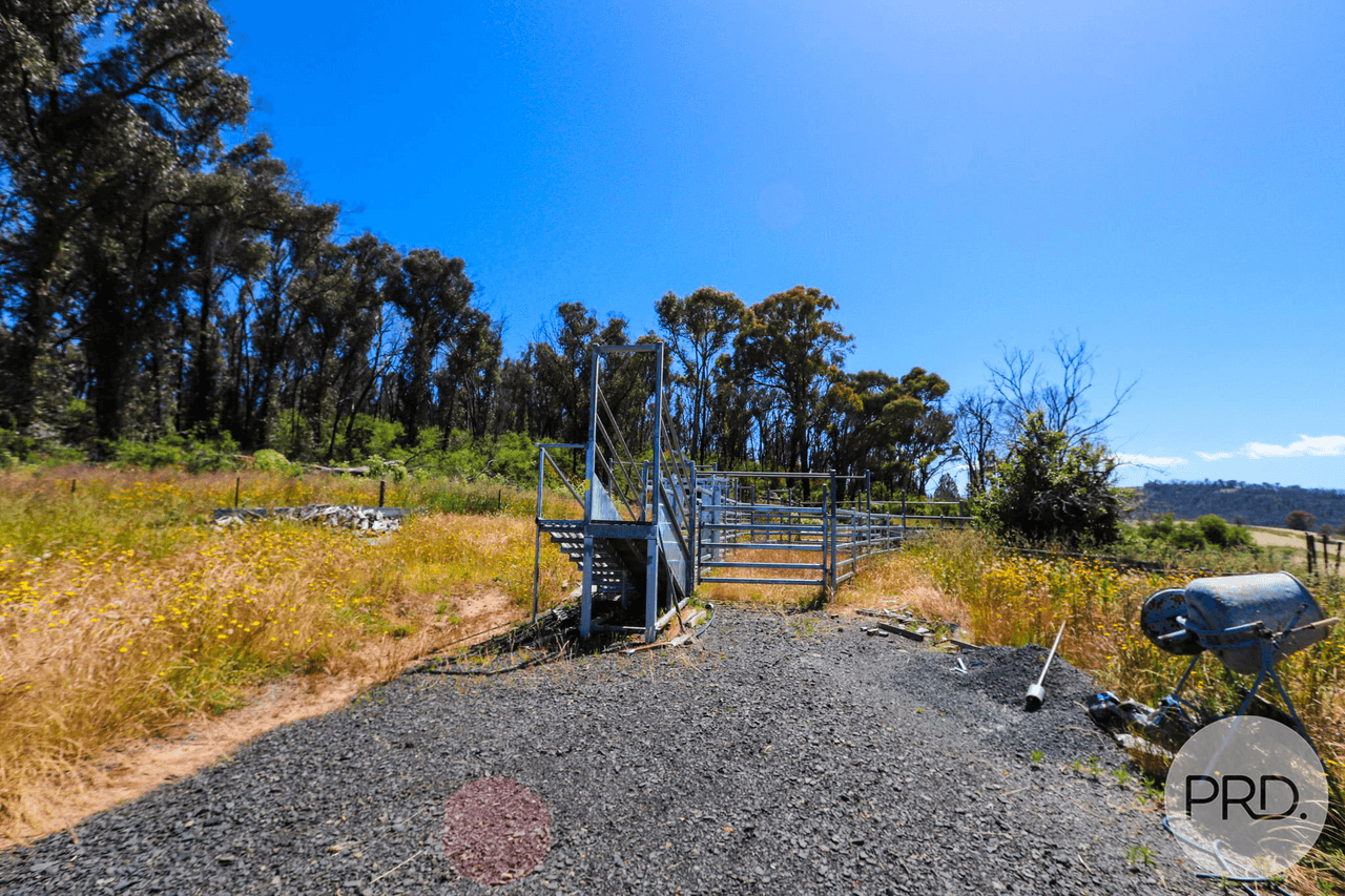 128 Blueberry Farm Road (off Taradale Rd), TUMBARUMBA, NSW 2653