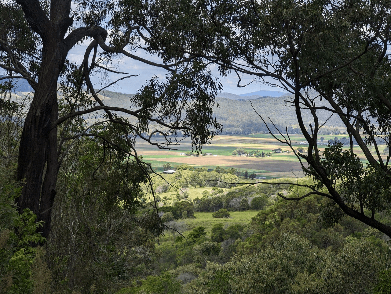 86 Laidley Creek West Road, MULGOWIE, QLD 4341