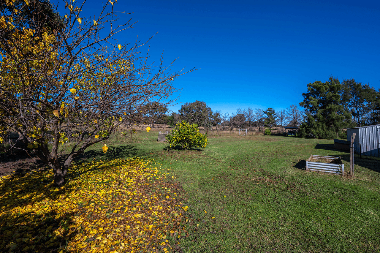 1127 Goolma Road, GULGONG, NSW 2852