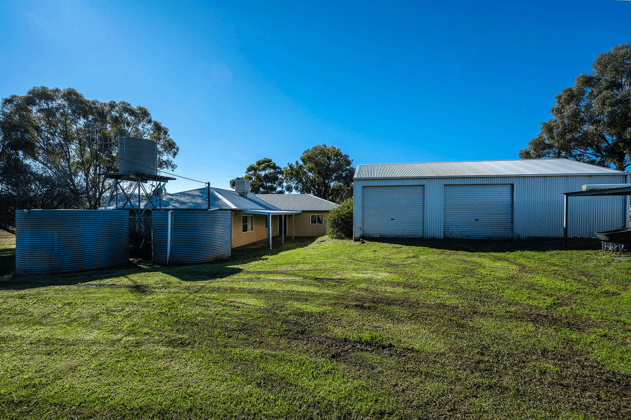 1127 Goolma Road, GULGONG, NSW 2852