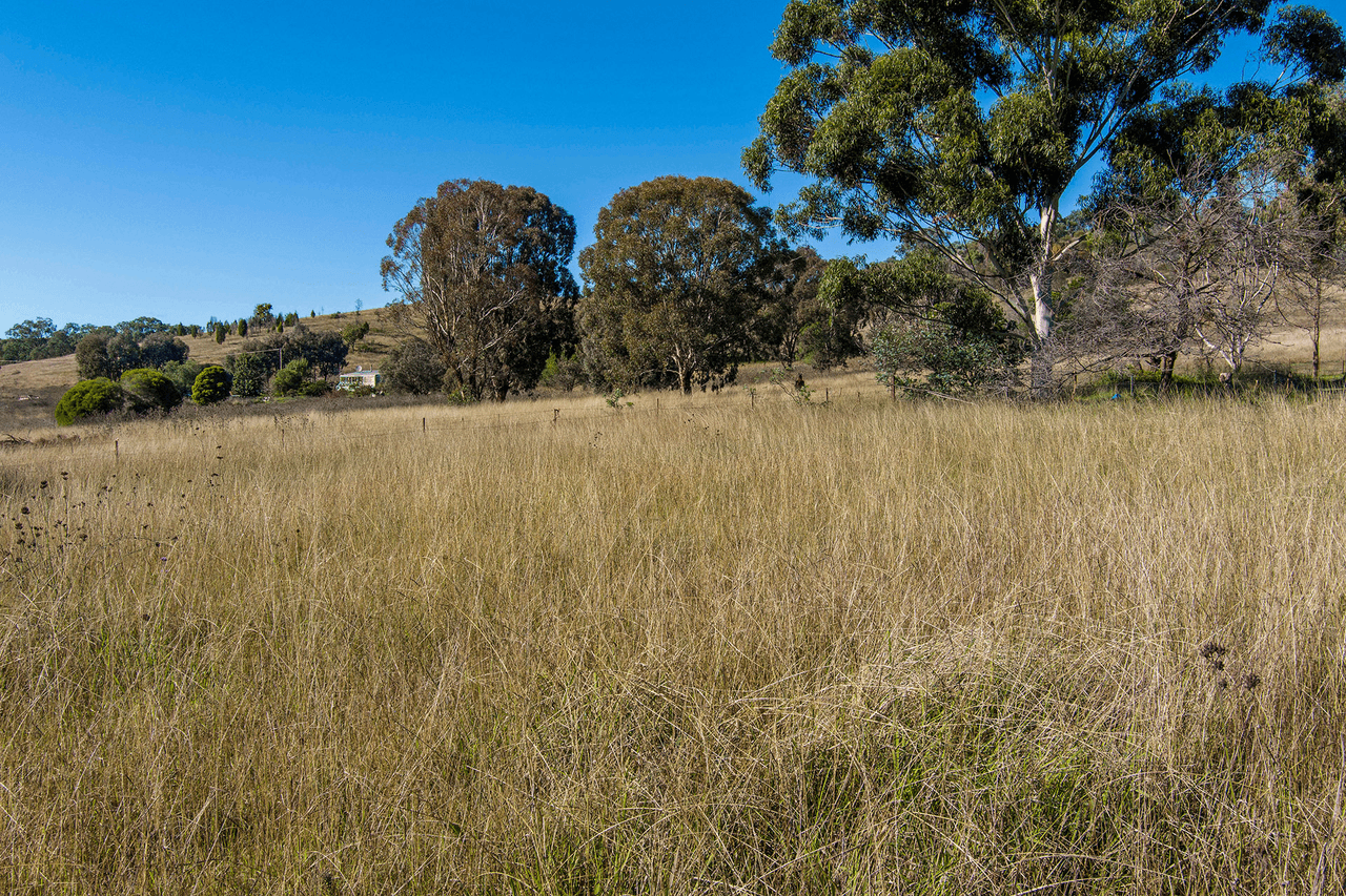 1127 Goolma Road, GULGONG, NSW 2852