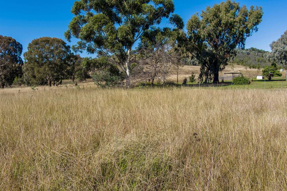 1127 Goolma Road, GULGONG, NSW 2852