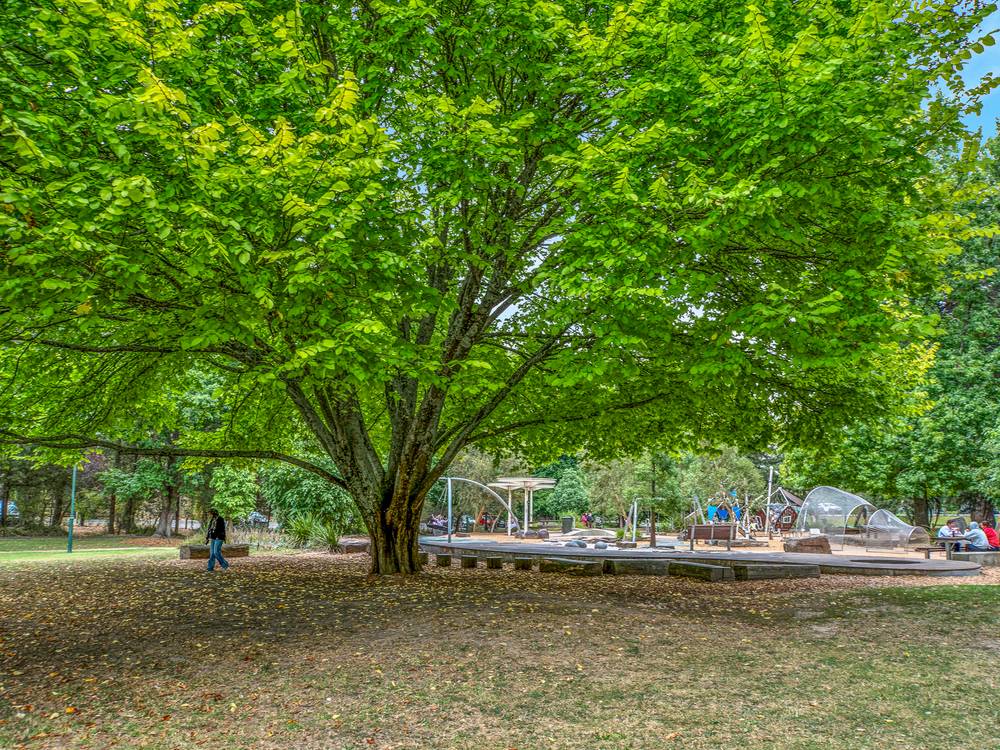 2A Badger Creek Road, HEALESVILLE, VIC 3777