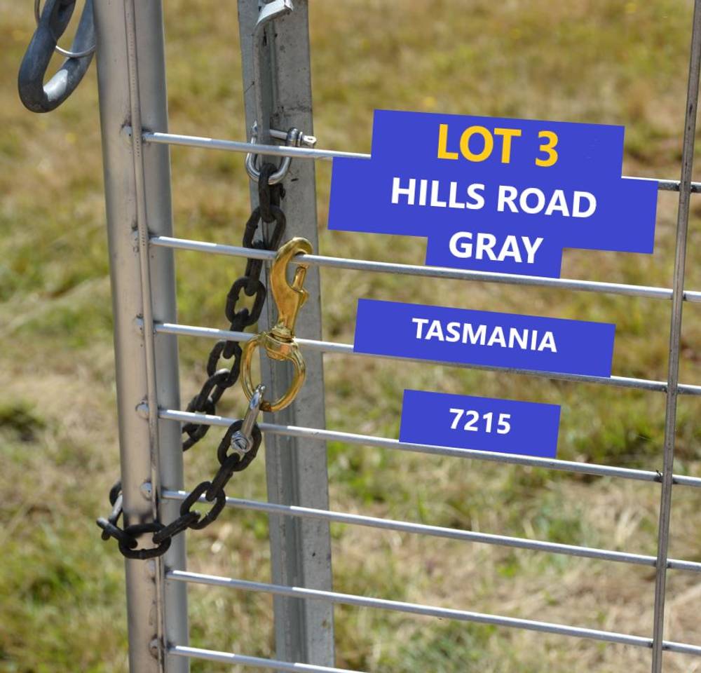 Lot 3 Hills Road, GRAY, tas 7215
